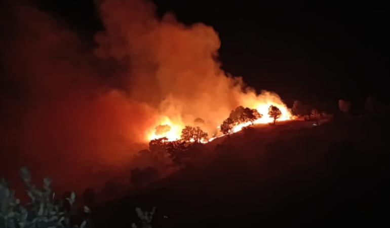 Siirt’te orman yangını