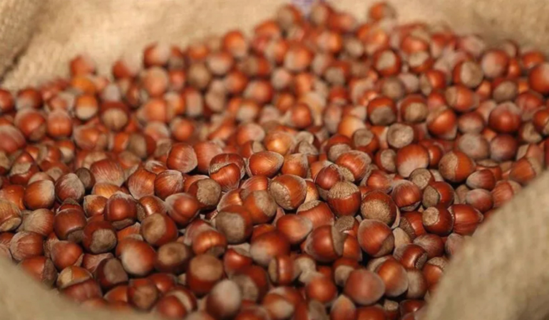 Giresun ve Ordu’da denetim süreci başlatıldı