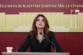 DEM Parti'li Koçyiğit Bu Ülkedeki Her 100 Liranın 17 Lirası Faize Gidiyor