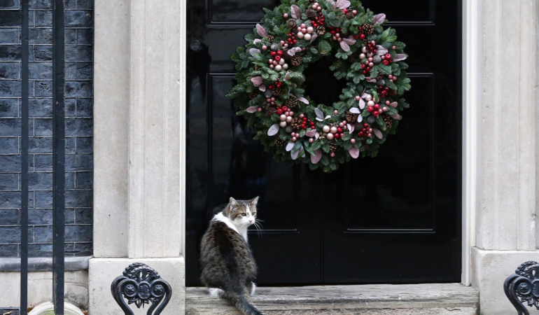 Downing Street kedisi Larry! Ameliyat sonrası görevine döndü