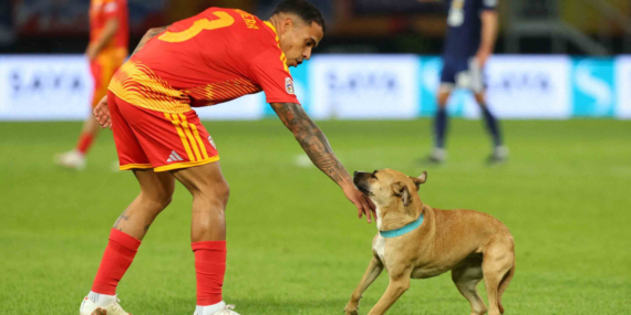 Kuzey Makedonya İskoçya maçında ilginç anlar! Sahaya köpek girdi