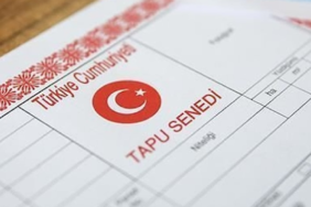 tapupng-bAB61agyIk6HWHjFsmHGyg.png